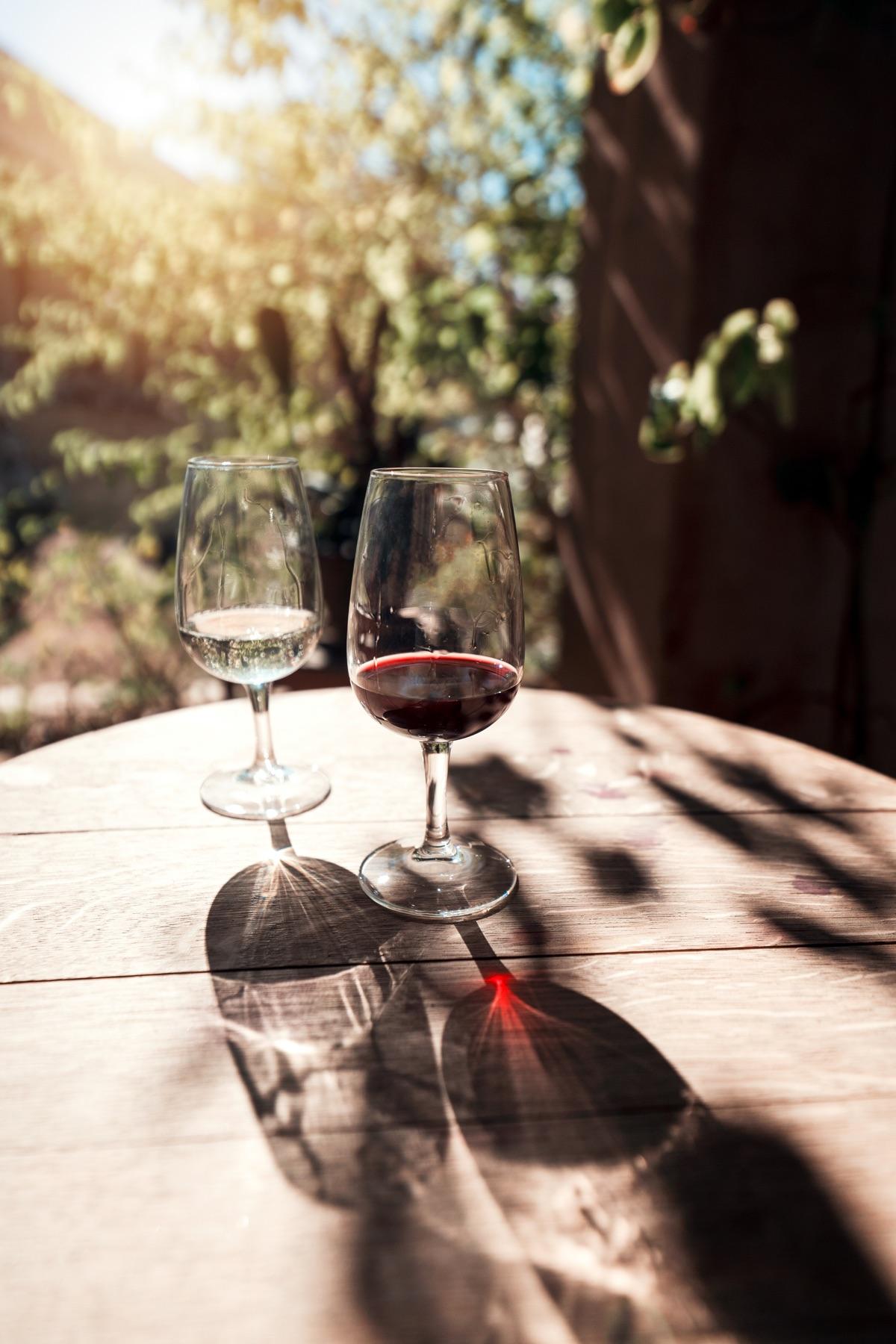 Guided Wine Tasting
